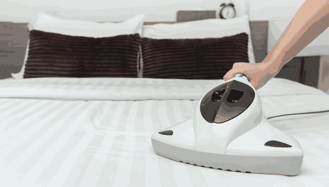 Professional Mattress Cleaning Chirnside Park